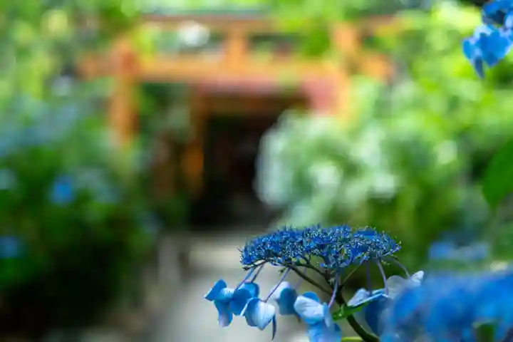 平野神社(京都府)