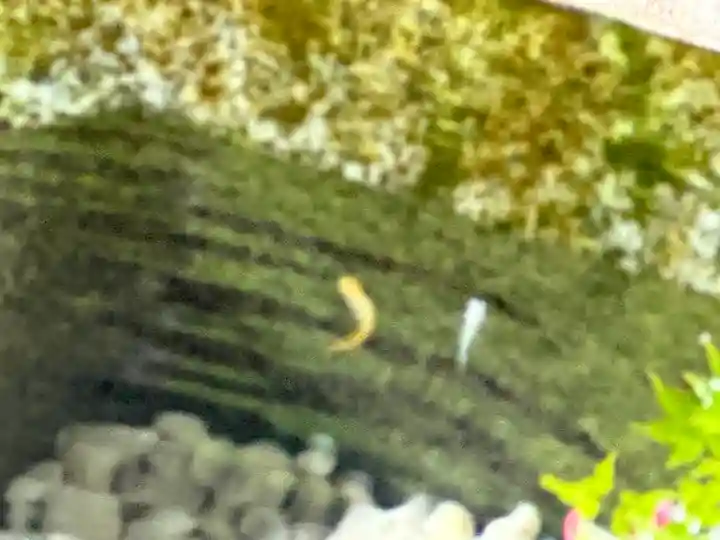 珍蔵寺 (山形県)