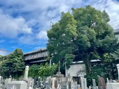 新光明寺(神奈川県)