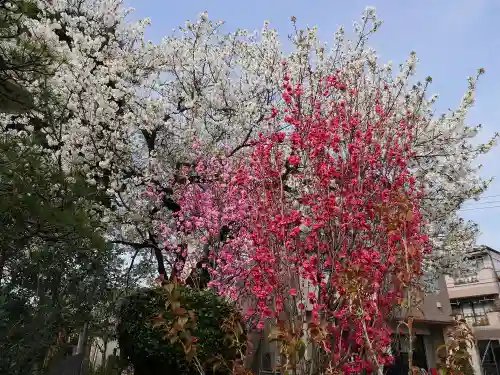 金嶺寺の景色