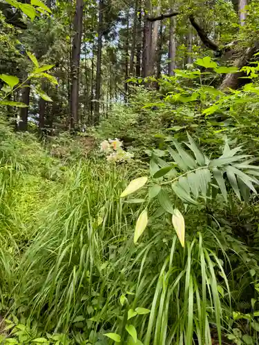 日枝神社(福島県)