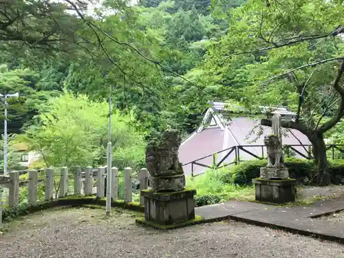 筒井神社の狛犬