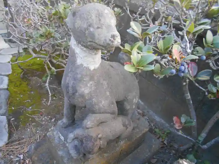 神社 < 社号不明 >の狛犬