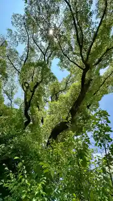 和泉國一之宮　大鳥大社(大阪府)