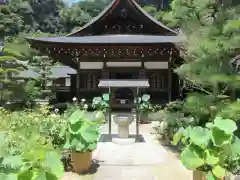 岡寺（龍蓋寺）(奈良県)