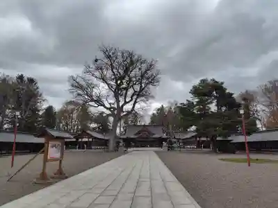 北海道護國神社(北海道)