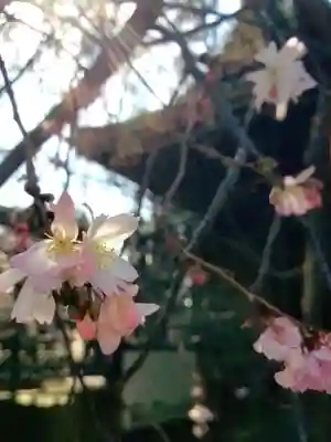 妙法寺(東京都)