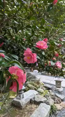 大豊神社(京都府)
