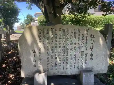 観福寺の歴史
