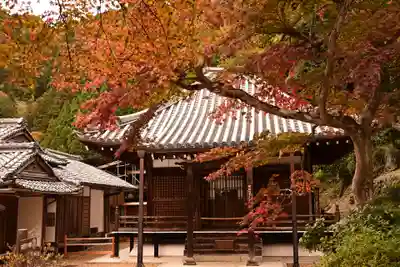 善峯寺(京都府)
