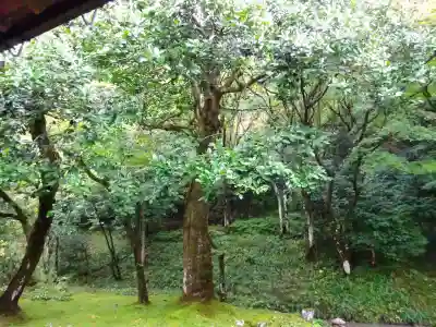 孤篷庵(滋賀県)