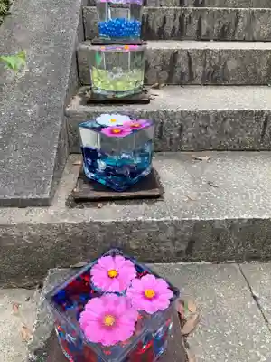 般若寺 ❁﻿コスモス寺❁(奈良県)