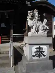 小倉神社の狛犬