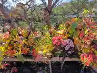 水戸八幡宮(茨城県)