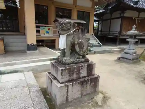 龍田神社の狛犬