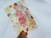 札幌諏訪神社の御朱印