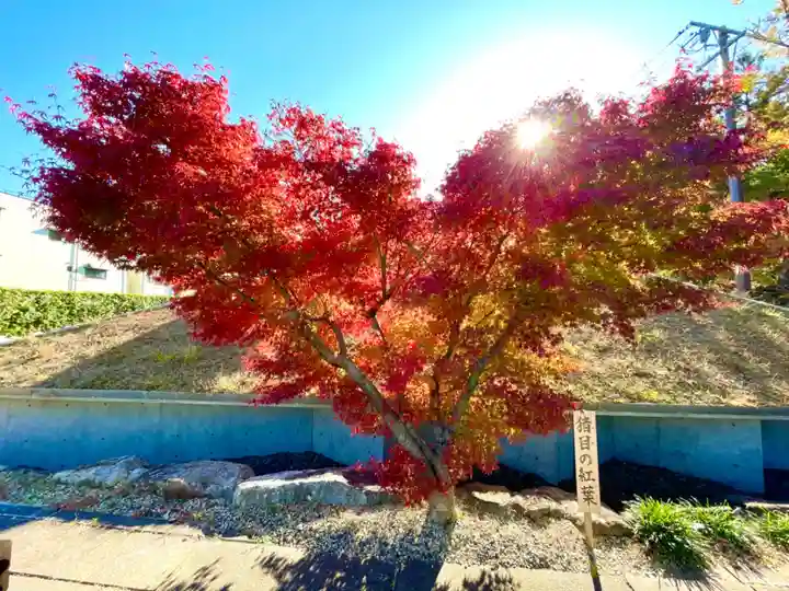 伊勢の国 四天王寺(三重県)