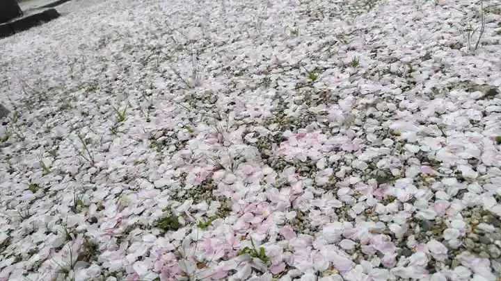 伊豆神社(滋賀県)