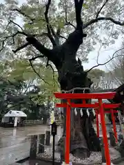 新田神社(東京都)