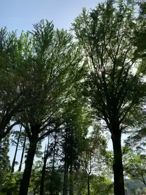 天照神社の自然