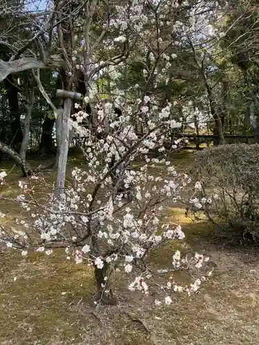 成田山新勝寺(千葉県)