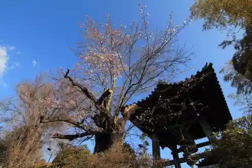 日輪寺のその他建物