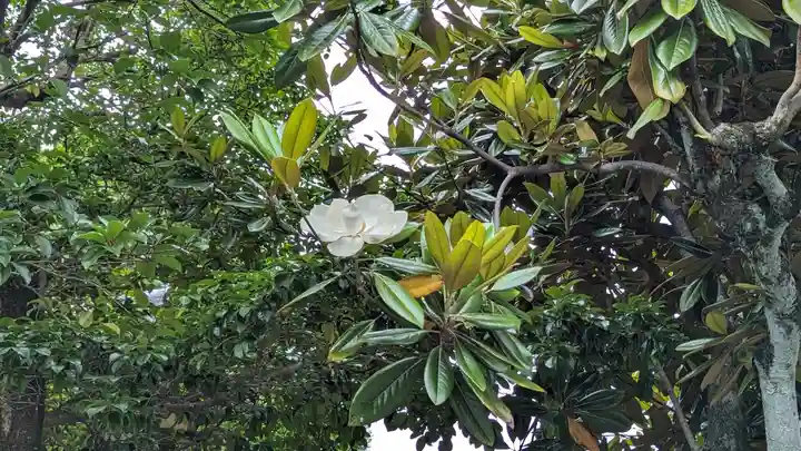 本法寺(京都府)