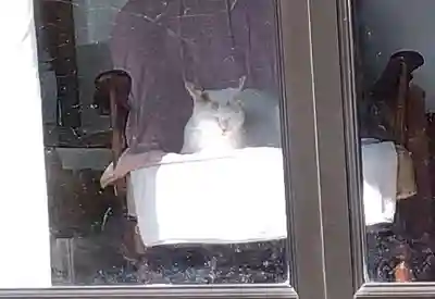 賀毛神社(三重県)