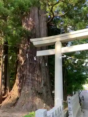 相馬中村神社のその他建物