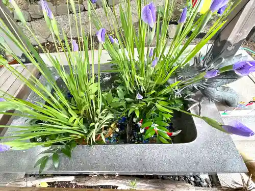 東海市熊野神社の手水舎