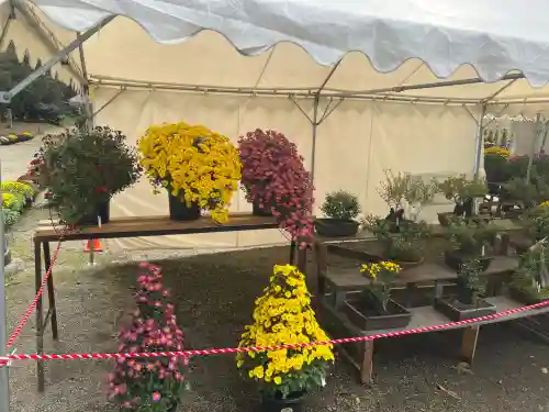 那須神社(栃木県)