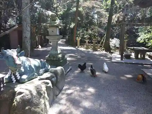 石上神宮(奈良県)