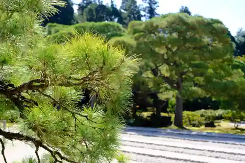 慈照寺（慈照禅寺・銀閣寺）(京都府)