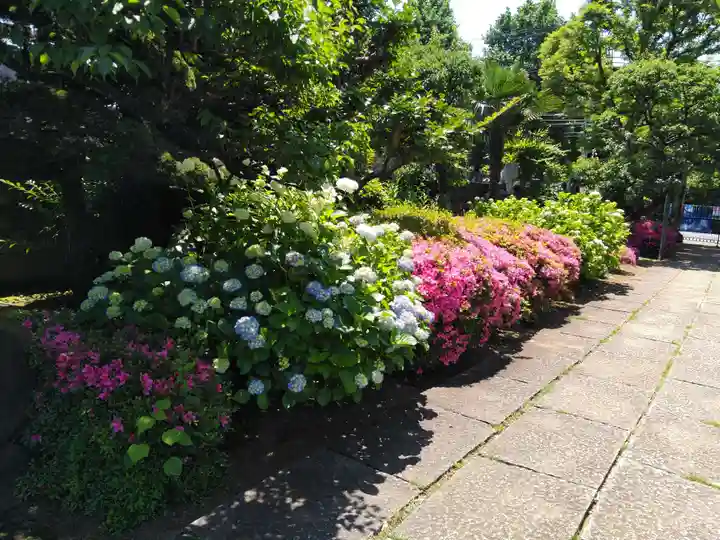 本寿院(東京都)