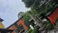 荒木神社(京都府)