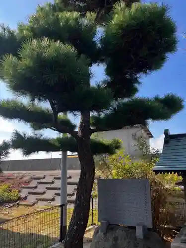 竜宮神社の自然