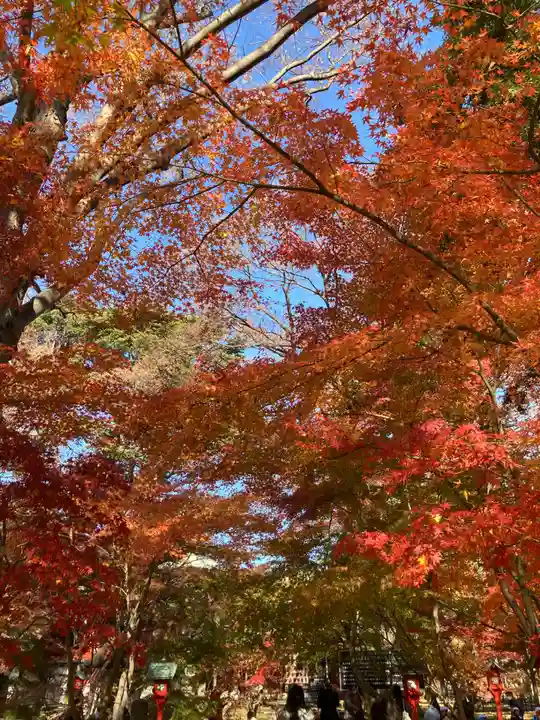 淨眞寺(東京都)