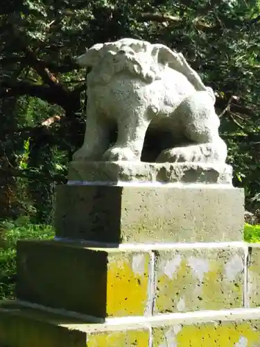 角田神社の狛犬