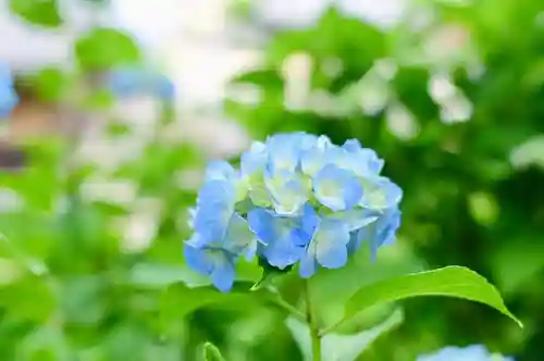 浄土寺(兵庫県)