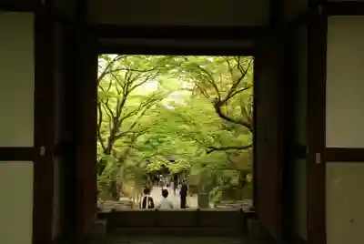 常寂光寺(京都府)