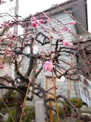 報徳二宮神社の{uncategorized: "未分類", other: "その他", undefined: "問題あり", building: "その他建物", grave: "お墓", sacred_gate: "鳥居", guardian: "狛犬", statue: "像", buddha: "仏像", history: "歴史", nature: "自然", garden: "庭園", animal: "動物", pagoda: "塔", temizu: "手水舎", mountain_gate: "山門・神門", sanctuary: "本殿・本堂", subordinate: "末社・摂社", art: "芸術", scenery: "景色", jizo: "地蔵", ema: "絵馬", goshuin: "御朱印", omikuji: "おみくじ", items: "授与品その他", amulet: "お守り", goshuincho: "御朱印帳", eats: "食事", festival: "お祭り", votive_dance: "神楽", shichigosan: "七五三参", wedding: "結婚式", experience: "体験その他", initially: "初詣", around: "周辺", anti_infection: "感染症対策"}