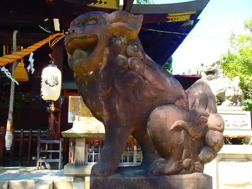 本土神社の狛犬