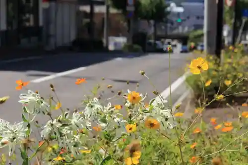 弘法大師堂の景色