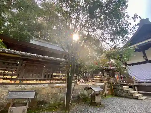 闘鶏神社(和歌山県)