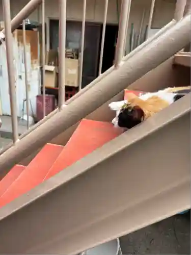 若宮八幡宮 (神奈川県)