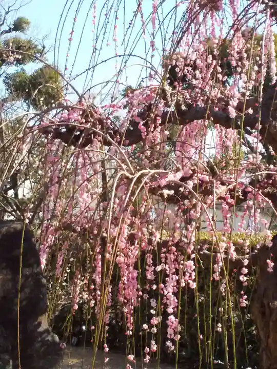 綱敷天満宮の自然