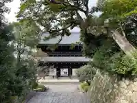 知恩院の山門・神門