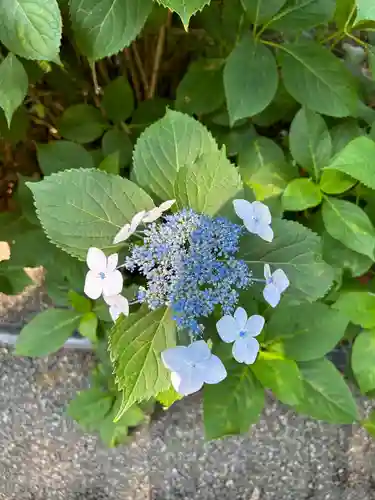 磯山神社(栃木県)