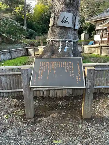 大巌寺(千葉県)