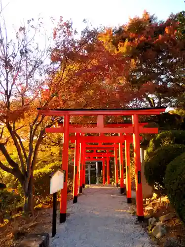 足利織姫神社の鳥居